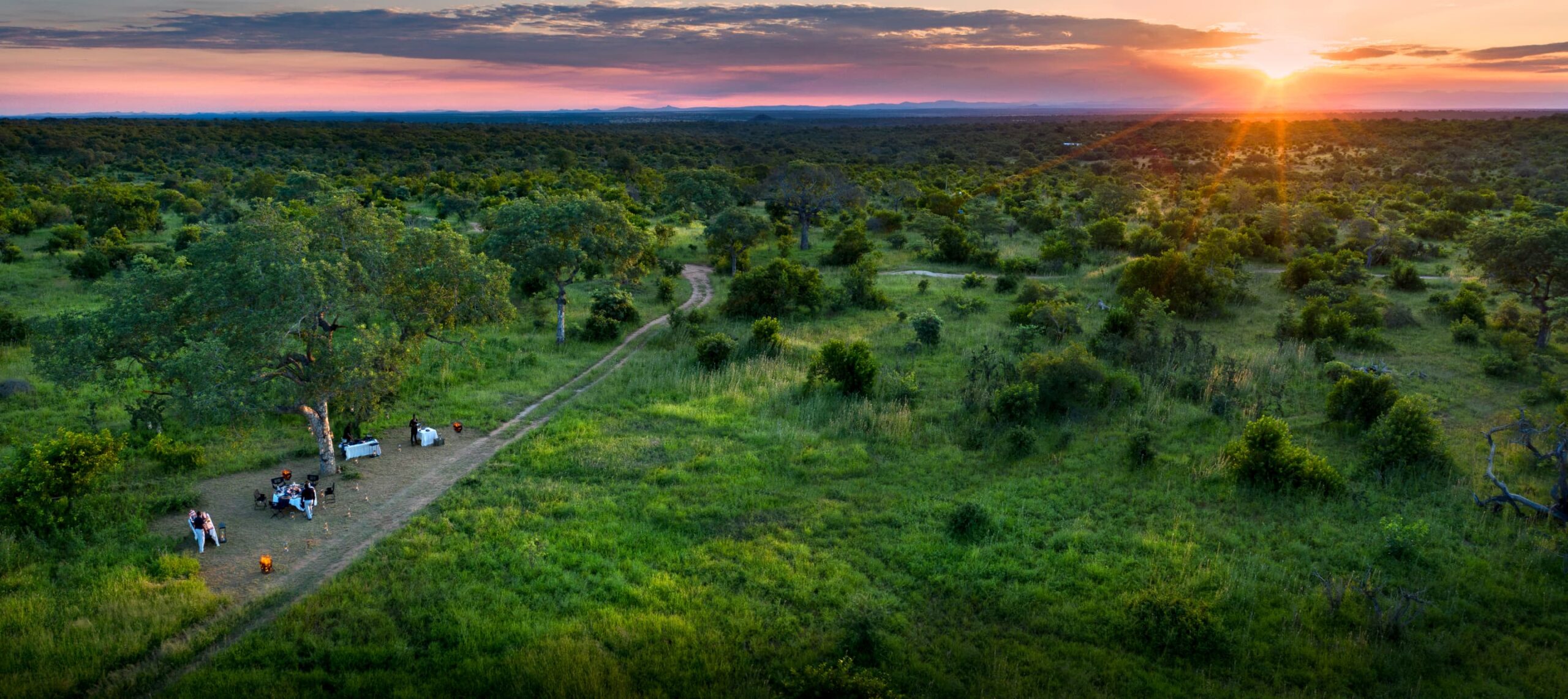 404 Banner